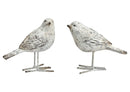 Vogel Antik FInish aus Poly grau 2-fach, (B/H/T) 15x14x7cm