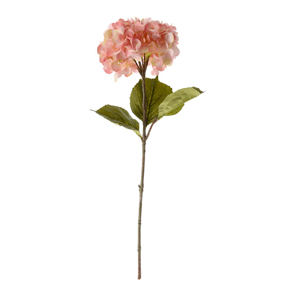 Hortensie rosa, ca.85cmH