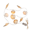 Lichterkette, Muscheln, mit 9 warmweißen LED