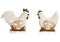 Huhn auf Sockel aus Holz beige 2-fach, (B/H/T) 17x15x5cm