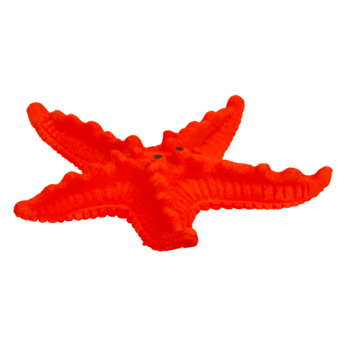 Wachsende Meerestiere, 10 cm,