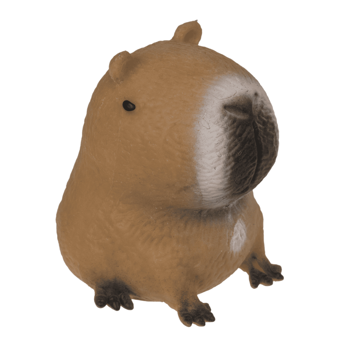 Squeezie Sand, Capybara