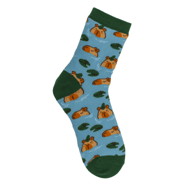 Magische Kindersocken, Capybara, 1 Paar,
