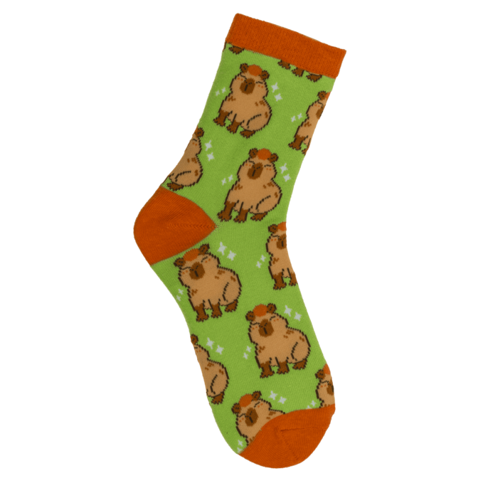 Magische Kindersocken, Capybara, 1 Paar,