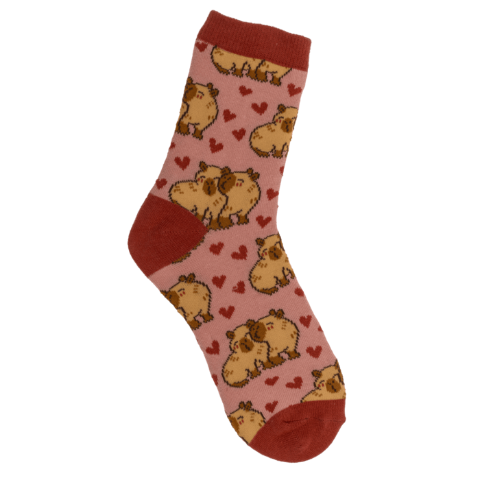 Magische Kindersocken, Capybara, 1 Paar,