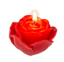 Rote Kerze, Rose, 3er Set,