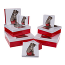 Rot/weiße Geschenkkartonage, Katze,