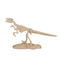 Ausgrabungsset, Dinosaurier Skelett,