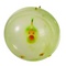 Aufblasbarer Ballon-Ball, Dinosaurier,