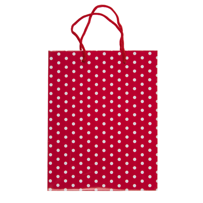 Papier-Geschenktüte I, ca. 18 x 8 x 23 cm,