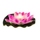 Schwimmende Seerose mit warmweißer LED