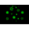 Kuscheldecke mit Sternen, Glow in the dark,