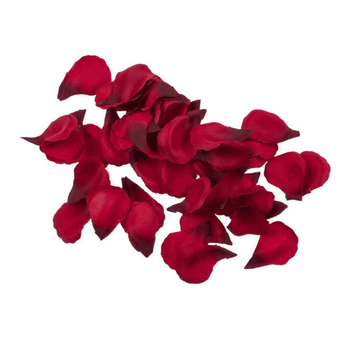 Rote Rosenblütenblätter, ca. 100 Stück