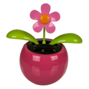 Bewegliche Blumen & Insekten, mit Solarzelle,
