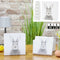 Boxenset Hase, quadratisch, 6er Set