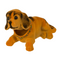 Wackel-Hund, ca. 12 x 8 cm, 4-fach sortiert,