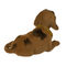 Wackel-Hund, ca. 12 x 8 cm, 4-fach sortiert,