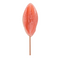 Süßwarenlolli, Vagina, mit Erdbeergeschmack,
