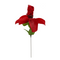 Rose mit rotem G-String, ca. 43 cm,