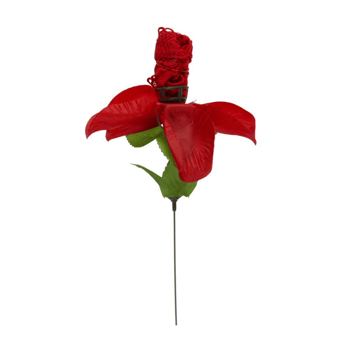 Rose mit rotem G-String, ca. 43 cm,