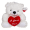 Plüsch-Bär mit rotem Herz, I love you, ca. 22 cm