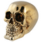 Spardose mit Schloss, Totenkopf, ca. 15 cm,