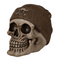Spardose, Totenkopf mit Fischermütze,