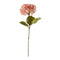 Hortensie rosa, ca.85cmH