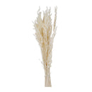 Hafer Avena Bund, cream, ca.100g, 75cmL