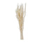 Hafer Avena Bund, cream, ca.100g, 75cmL