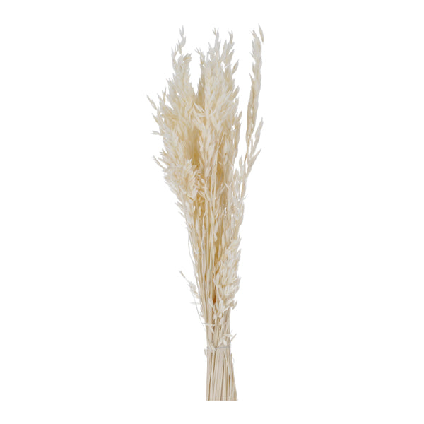Hafer Avena Bund, cream, ca.100g, 75cmL
