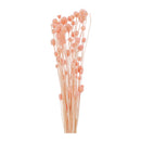 Kugelamarant Bund, pink, ca.50g, 70cmL