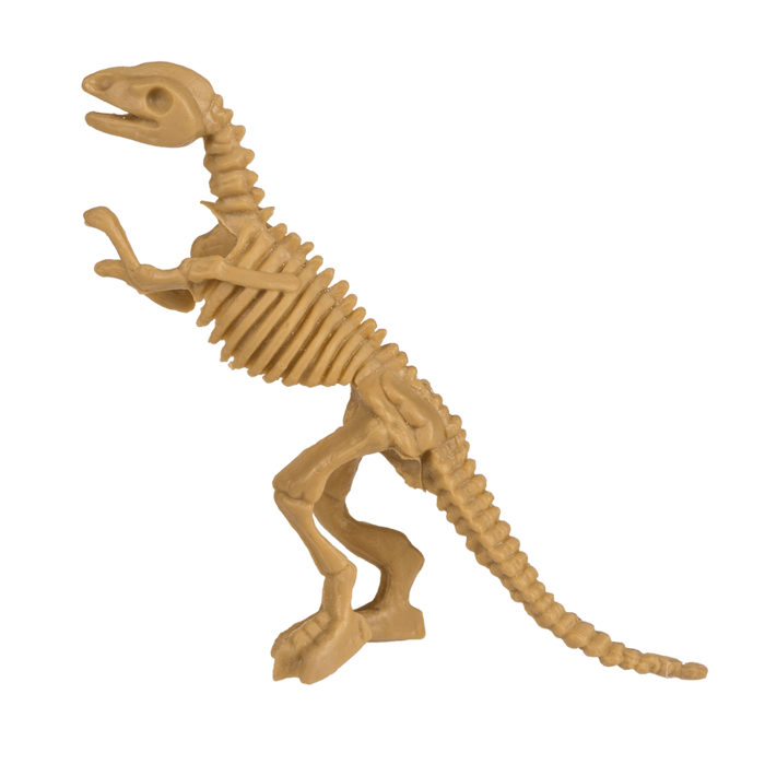 Ausgrabungsset, Dinosaurier Skelett, ca. 4 x 8 cm,