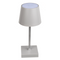 Graue Tisch-Lampe mit LED,