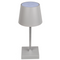 Graue Tisch-Lampe mit LED,