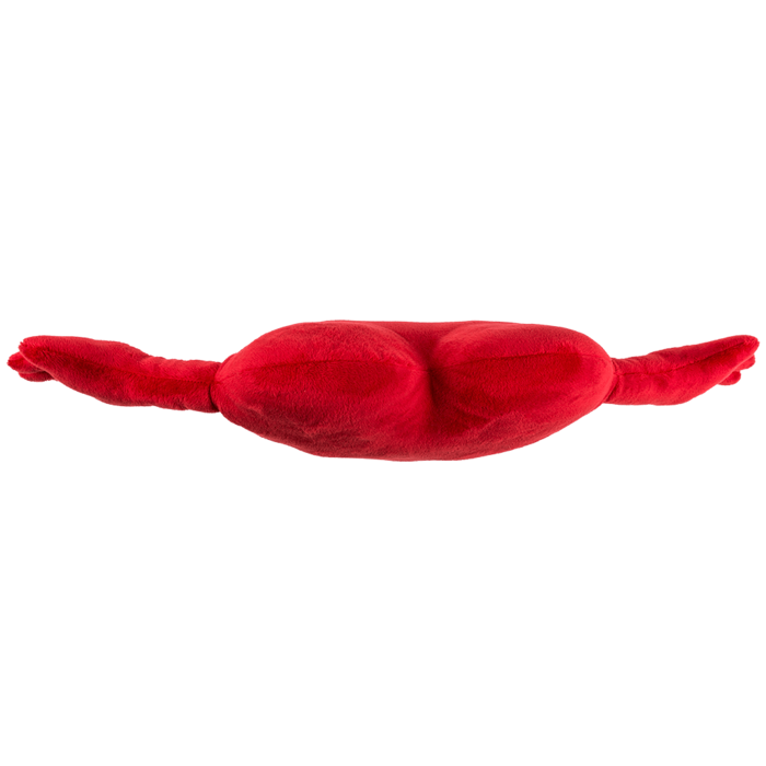 Rotes Plüschherz mit Armen, ca. 70 cm