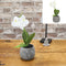 Kunstblume Orchidee im Topf, weiß, 34cmH
