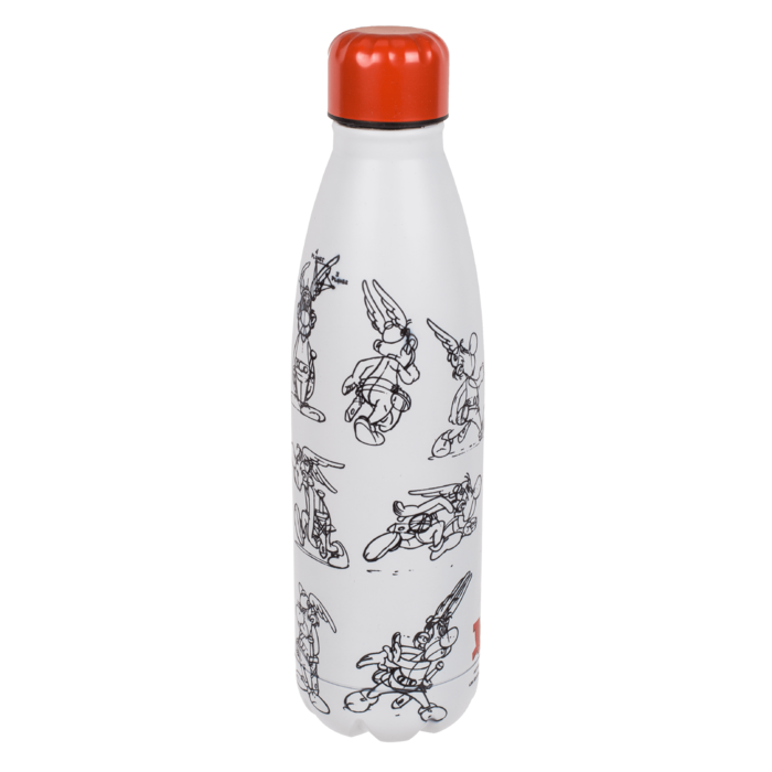 Metall-Trinkflasche, Asterix,