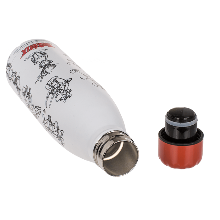 Metall-Trinkflasche, Asterix,