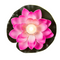 Schwimmende Seerose mit warmweißer LED
