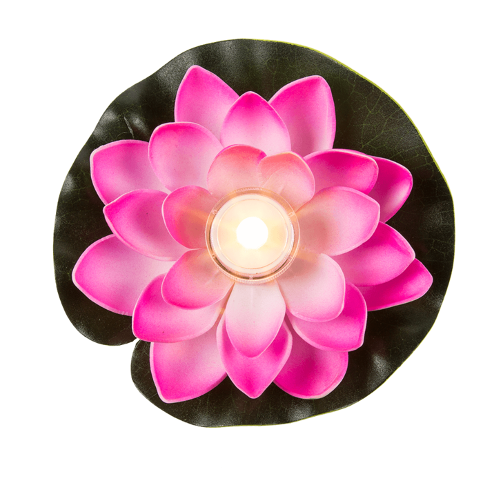Schwimmende Seerose mit warmweißer LED