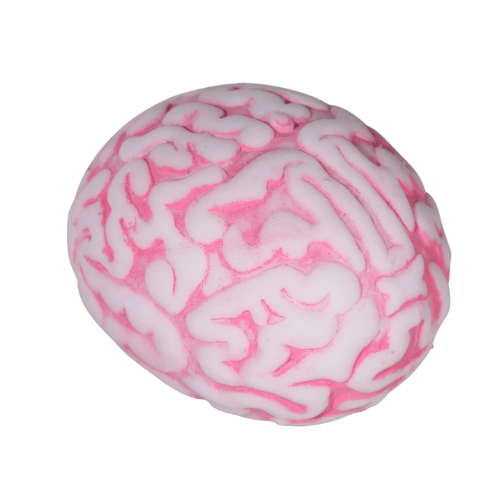 Squeeze-Ball, Gehirn, ca. 8 cm,