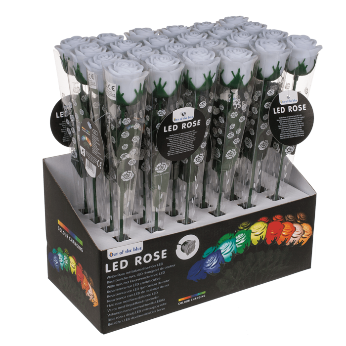 Weiße Rose mit farbwechselnder LED