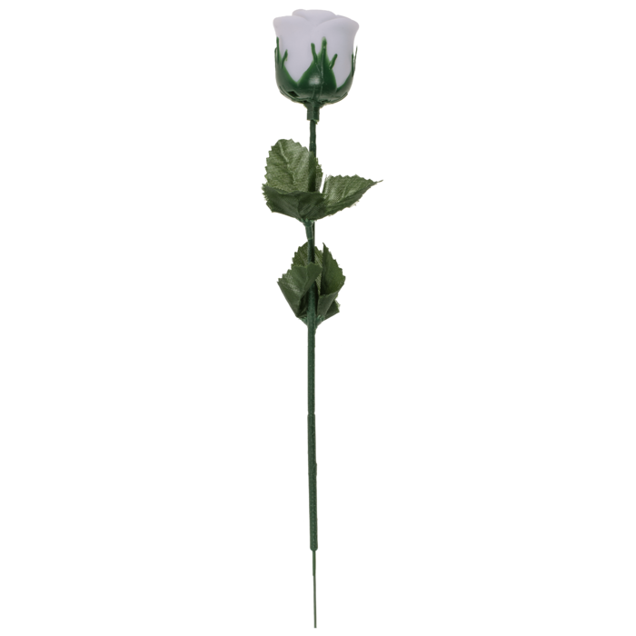 Weiße Rose mit farbwechselnder LED