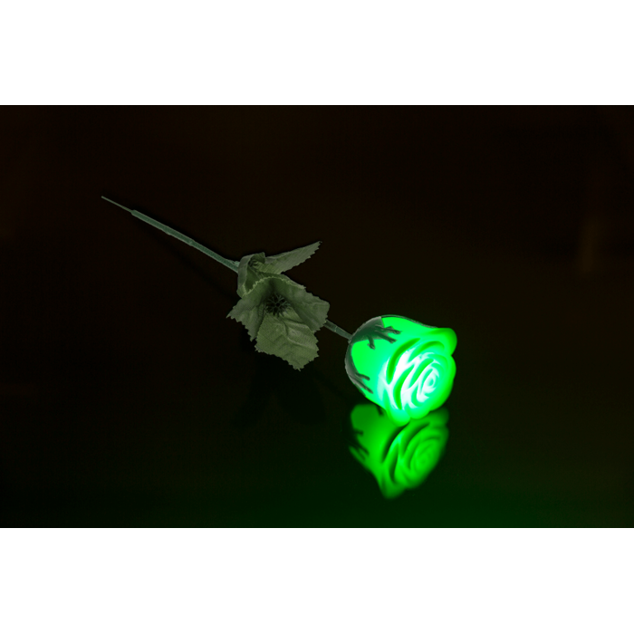 Weiße Rose mit farbwechselnder LED