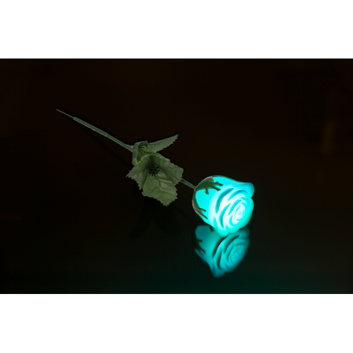 Weiße Rose mit farbwechselnder LED