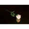 Weiße Rose mit farbwechselnder LED
