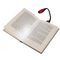 Leseleuchte mit 2 LED (inkl. Batterien) ca. 16 cm,
