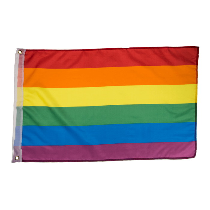 Flagge  mit Metallösen, Pride,