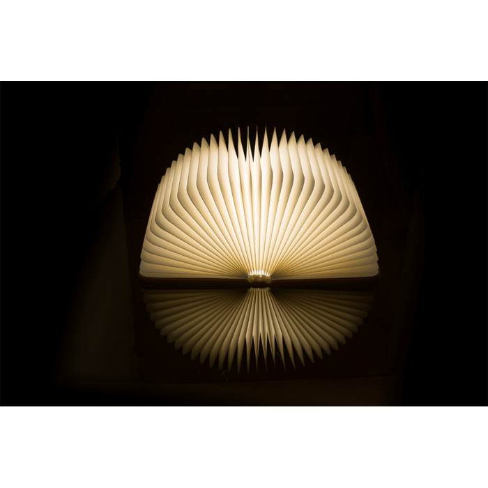 LED-Stimmungsleuchte, Buch, ca.17 x 13 cm,